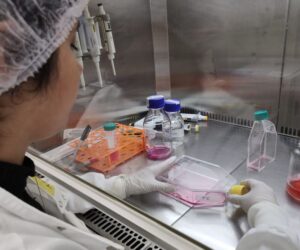 Testes in vitro foram feitos por pesquisadores do Instituto de Biociências, Letras e Ciências Exatas da Unesp, em São José do Rio Preto (foto: Marilia de Freitas Calmon/Unesp)