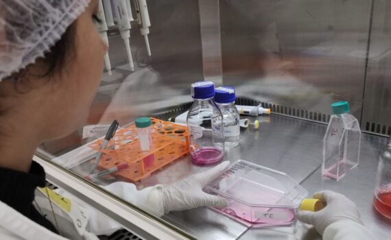 Testes in vitro foram feitos por pesquisadores do Instituto de Biociências, Letras e Ciências Exatas da Unesp, em São José do Rio Preto (foto: Marilia de Freitas Calmon/Unesp)