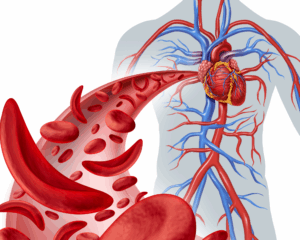 Ilustração de um corpo com várias celulas do sangue